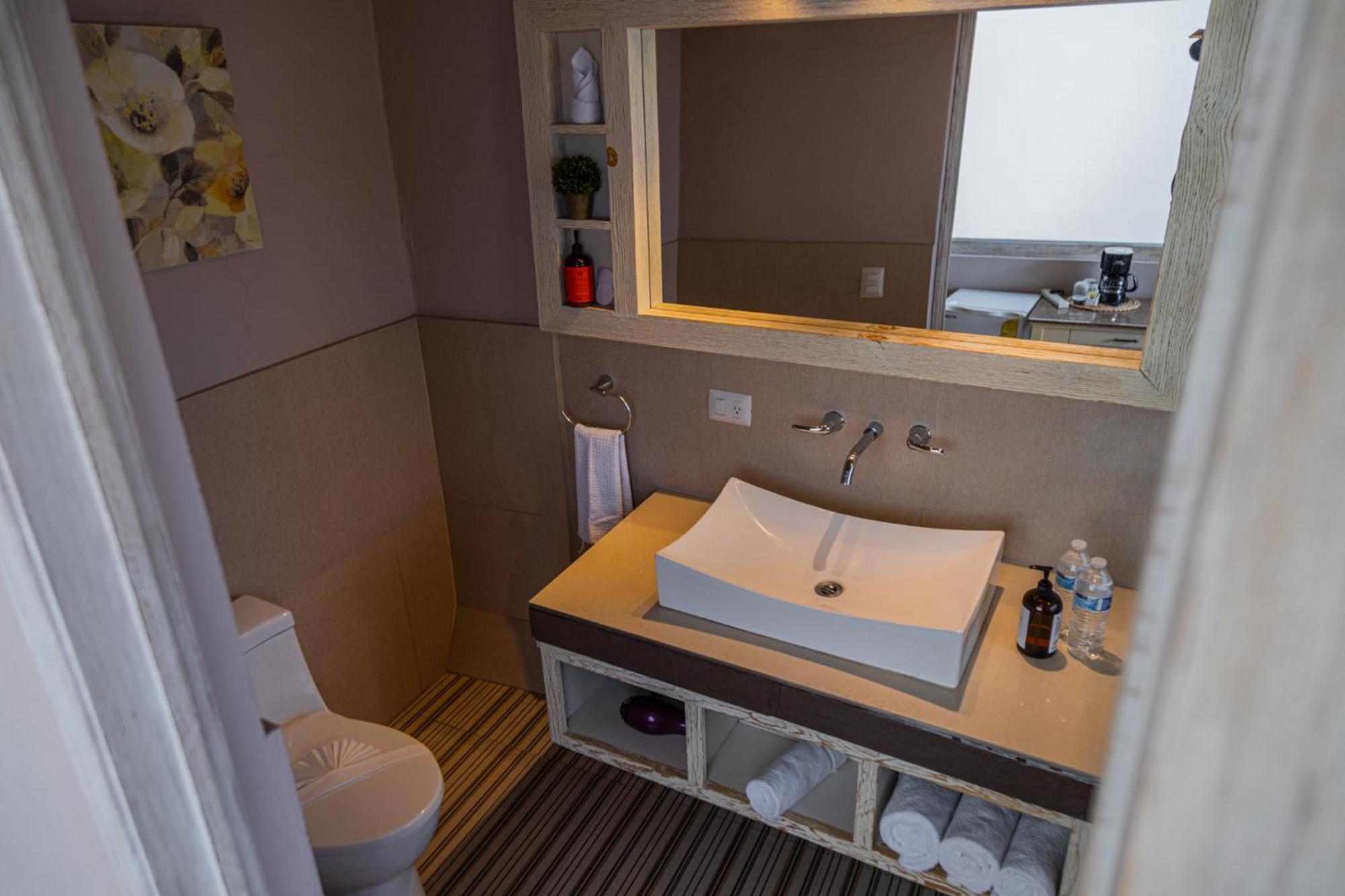Casa Aliz Hotel San Miguel de Allende Eksteriør billede