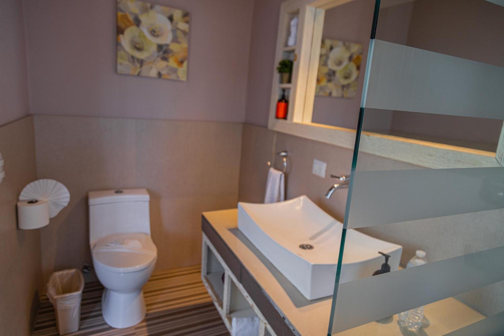 Casa Aliz Hotel San Miguel de Allende Eksteriør billede