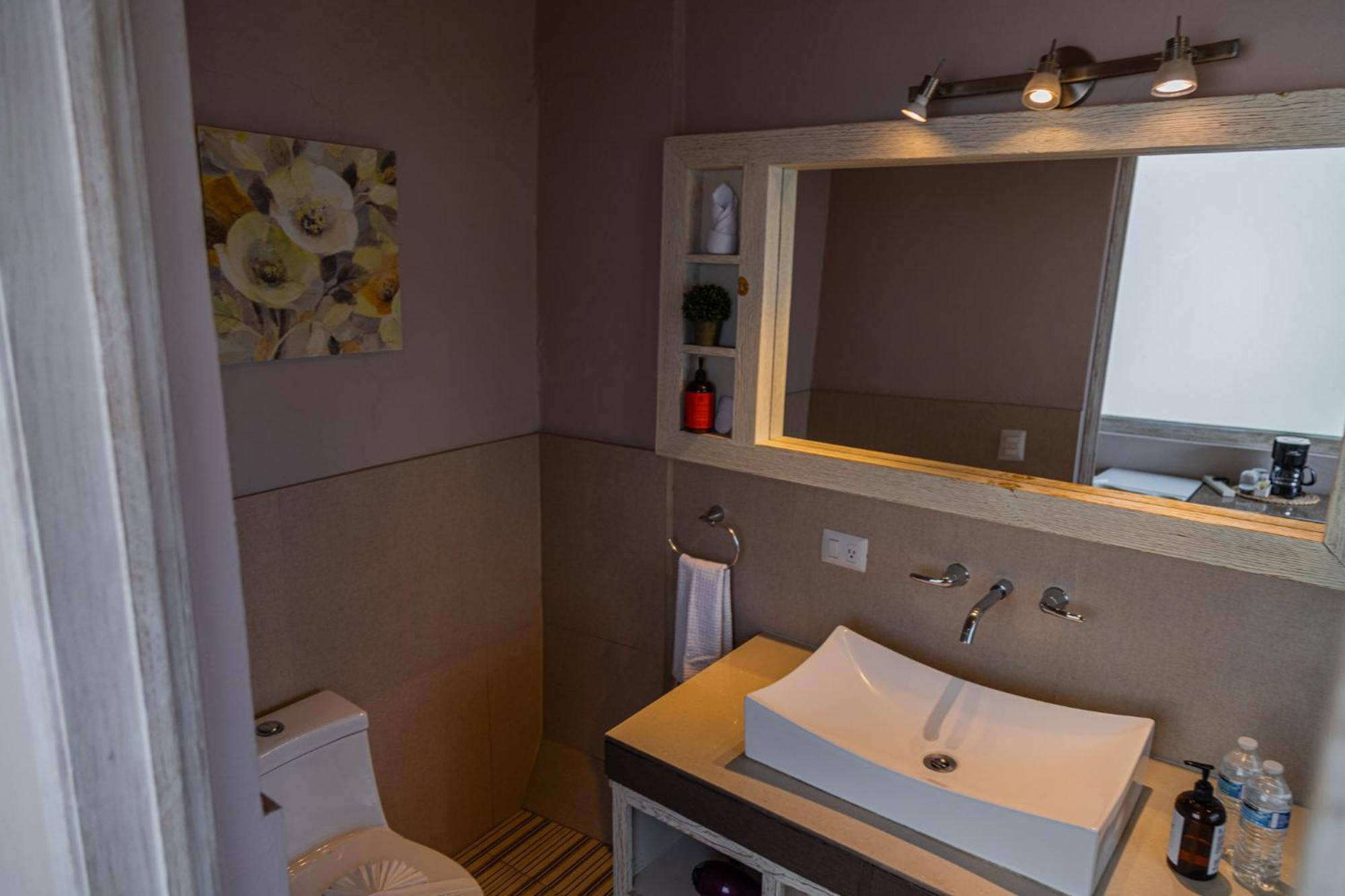 Casa Aliz Hotel San Miguel de Allende Eksteriør billede